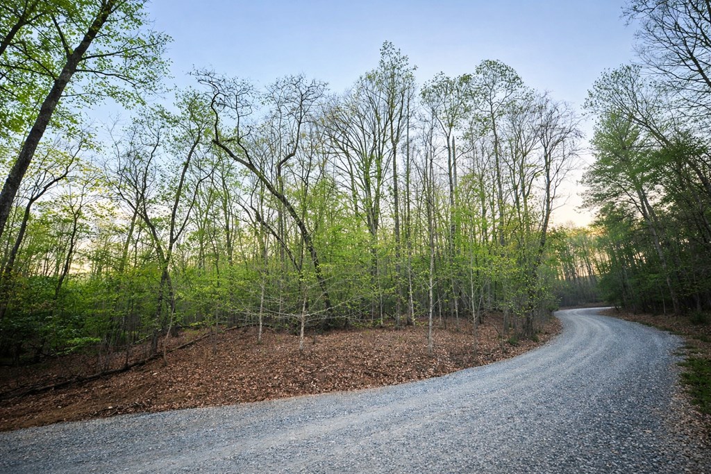 Lot 5 Riverbend Manor