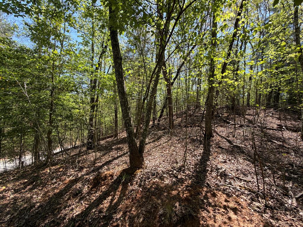 Lot 5 Riverbend Manor