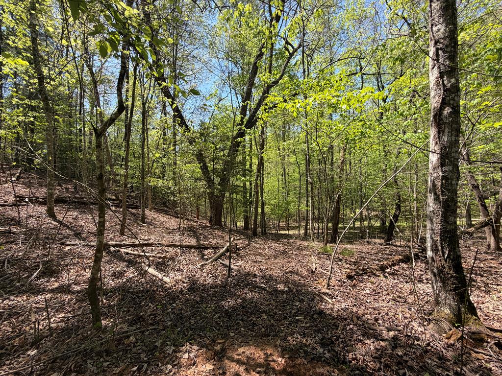 Lot 5 Riverbend Manor