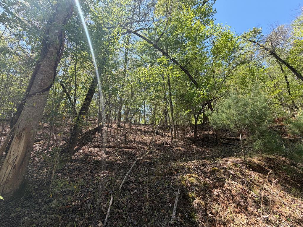 Lot 5 Riverbend Manor