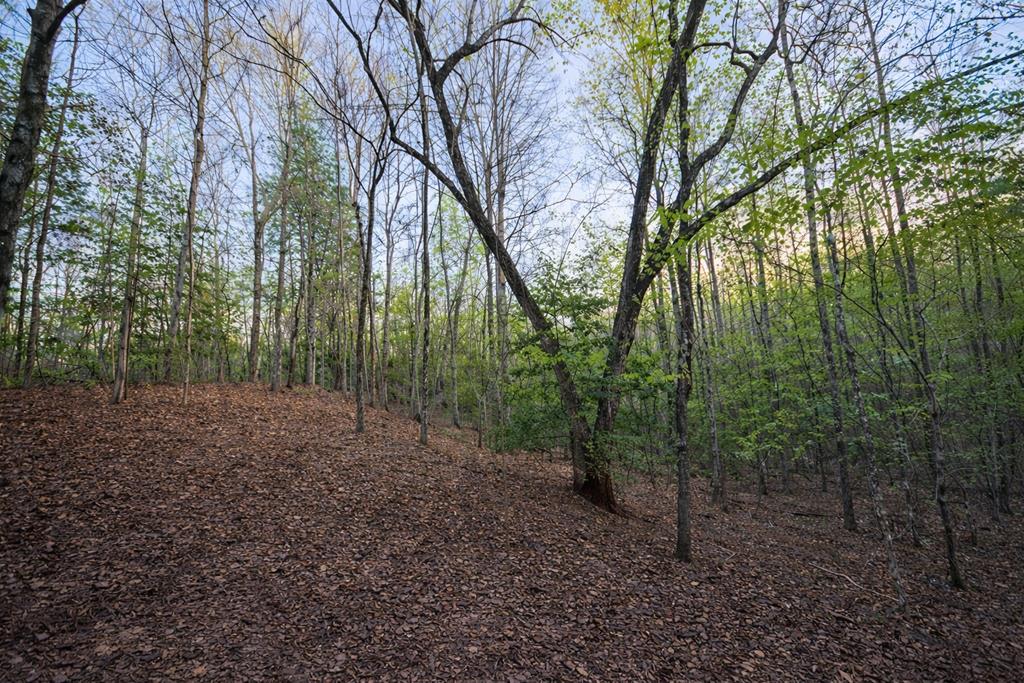Lot 5 Riverbend Manor
