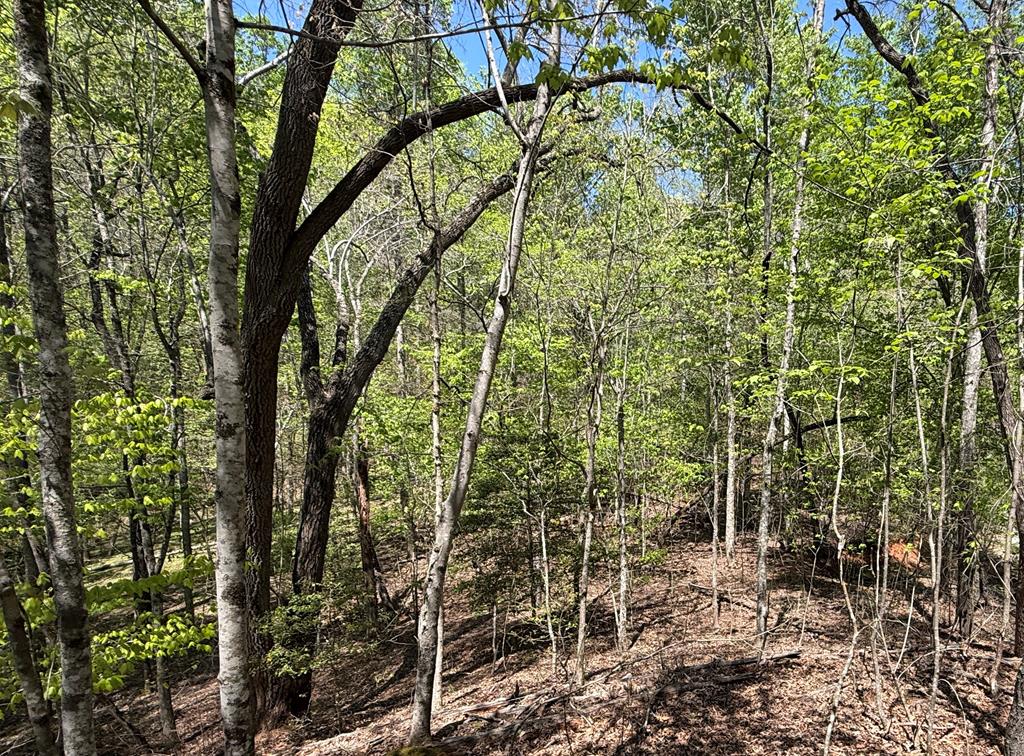 Lot 5 Riverbend Manor