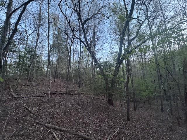 Lot 5 Riverbend Manor