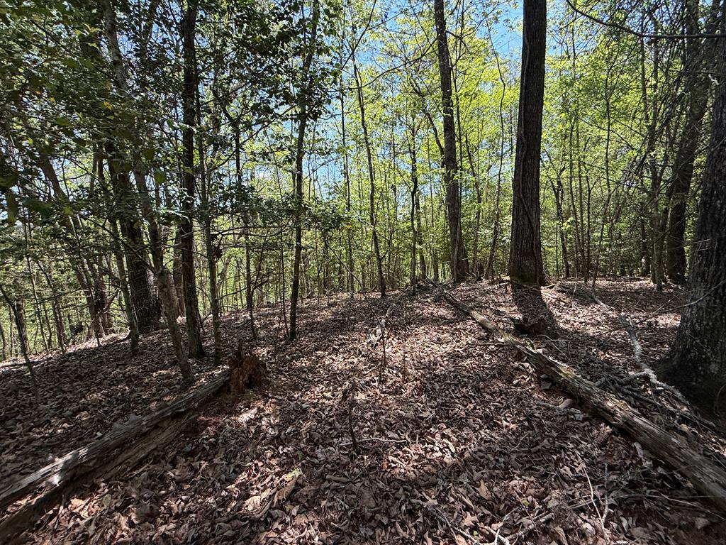 Lot 5 Riverbend Manor