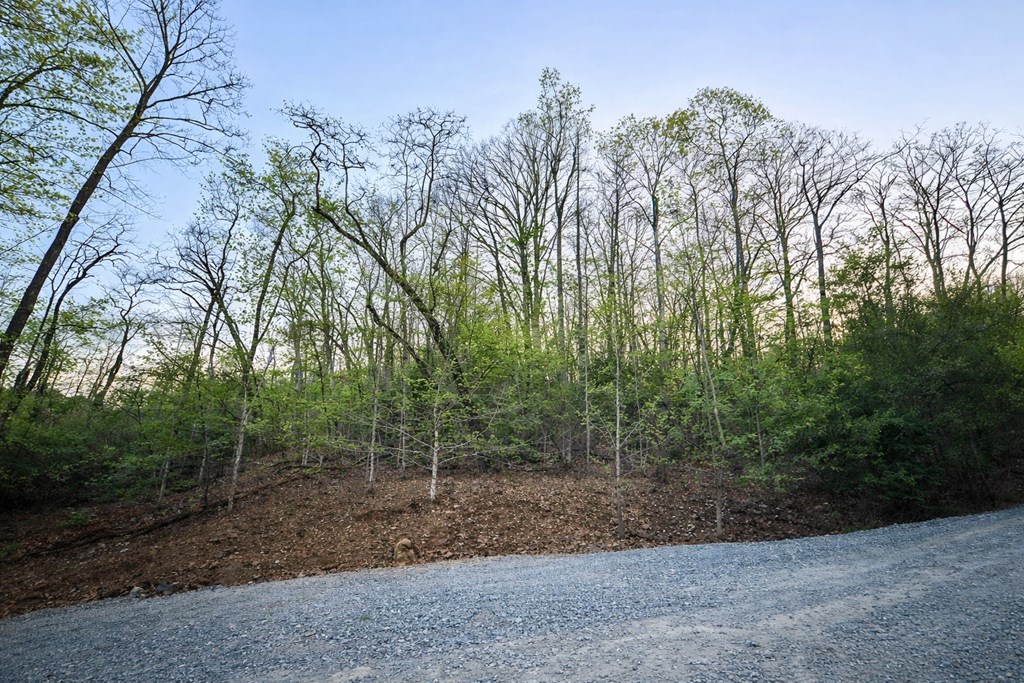 Lot 5 Riverbend Manor