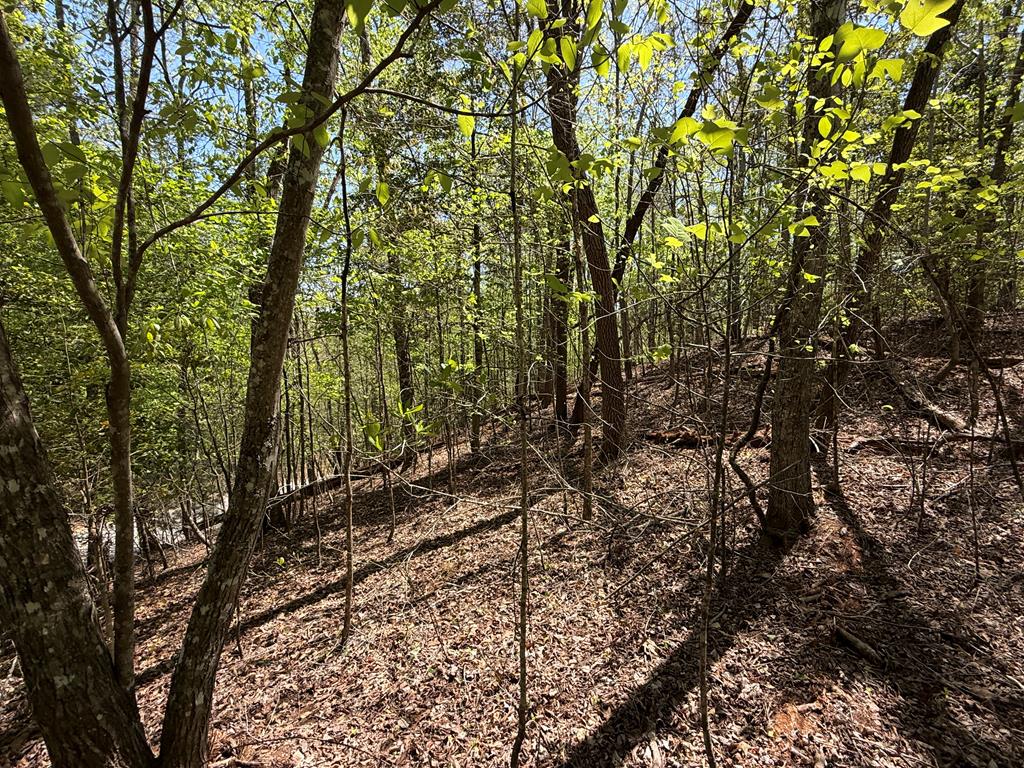 Lot 5 Riverbend Manor