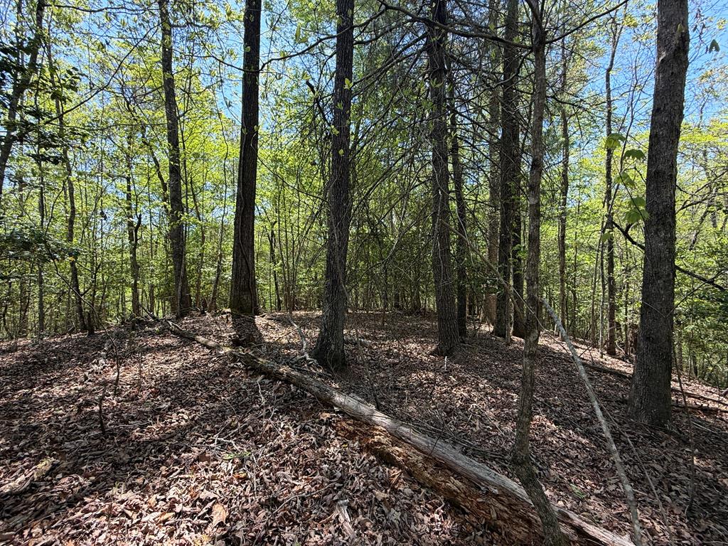 Lot 5 Riverbend Manor