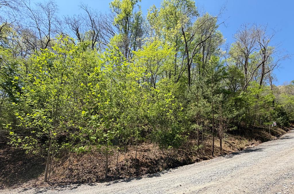 Lot 5 Riverbend Manor