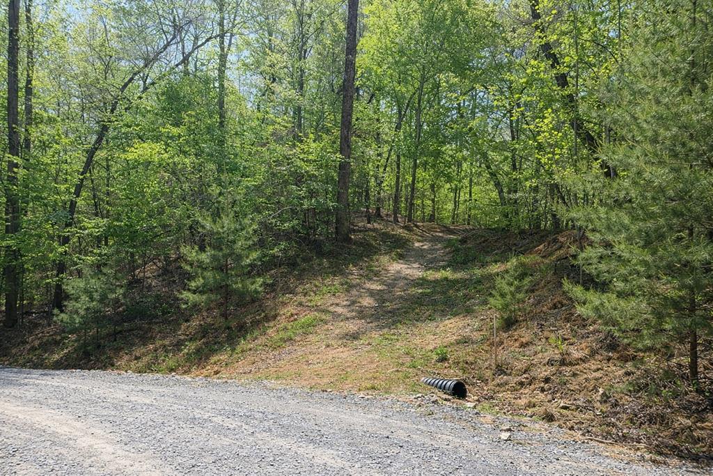 Lot 5 Riverbend Manor