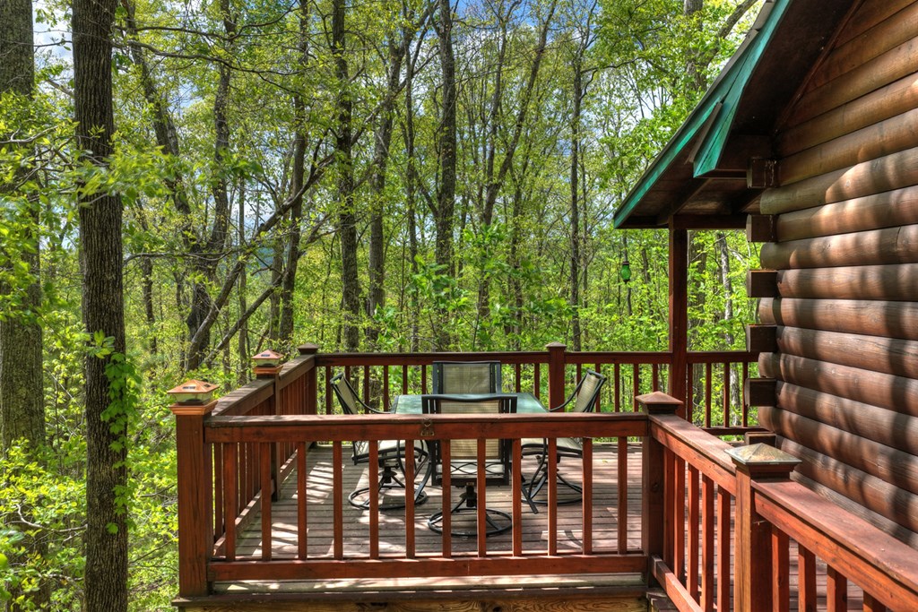 660 Ripshin Mountain Road