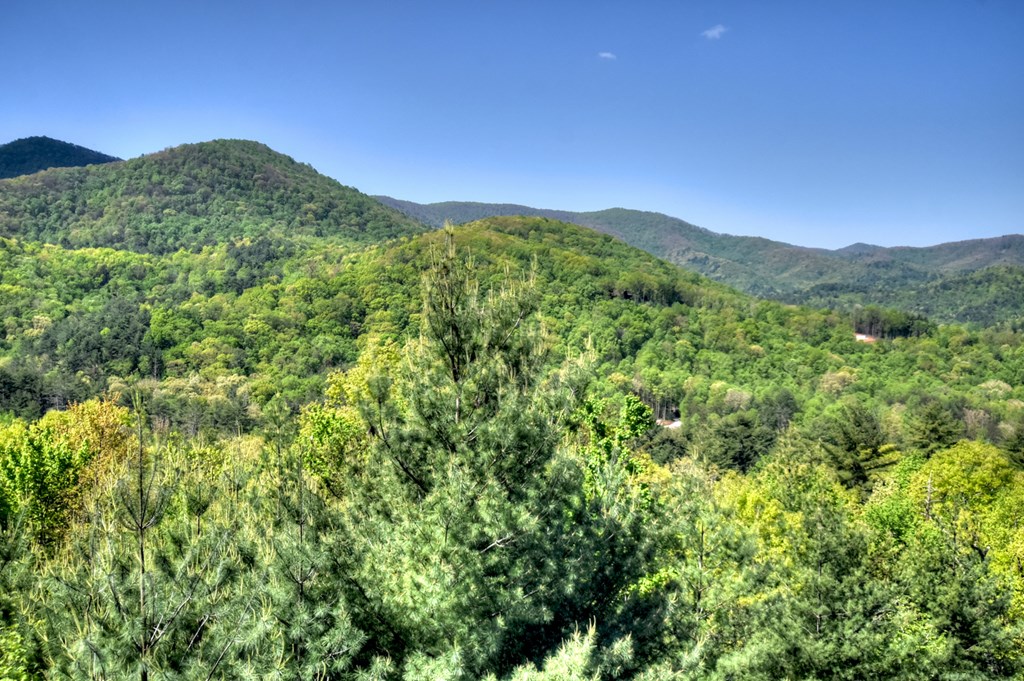 459 Quail Ridge Road