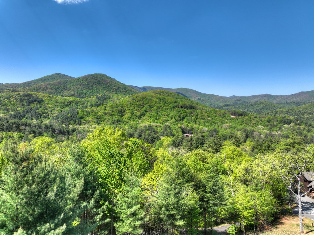 459 Quail Ridge Road