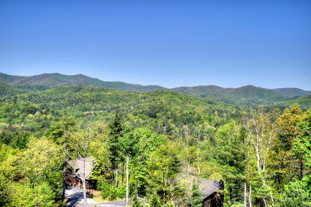 459 Quail Ridge Road