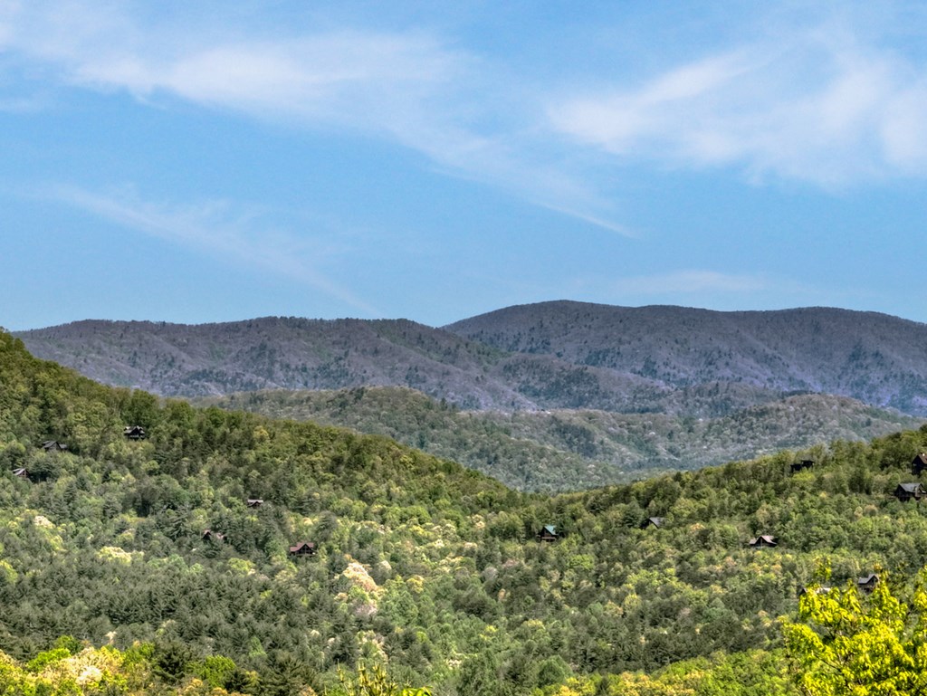 459 Quail Ridge Road