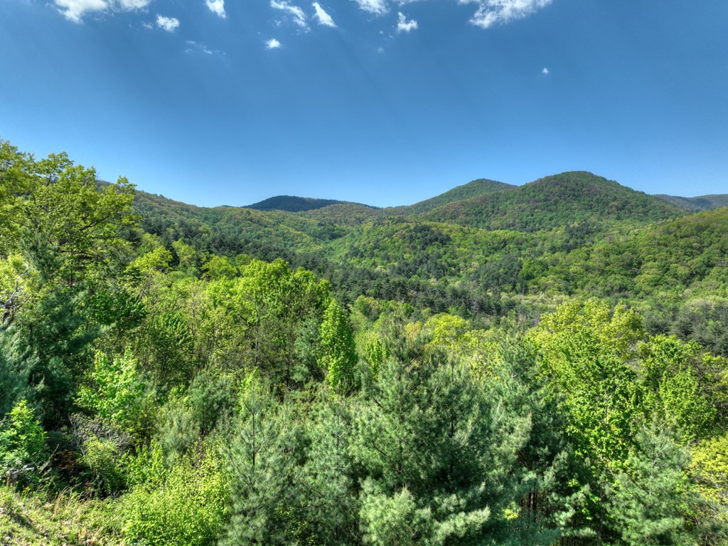 459 Quail Ridge Road