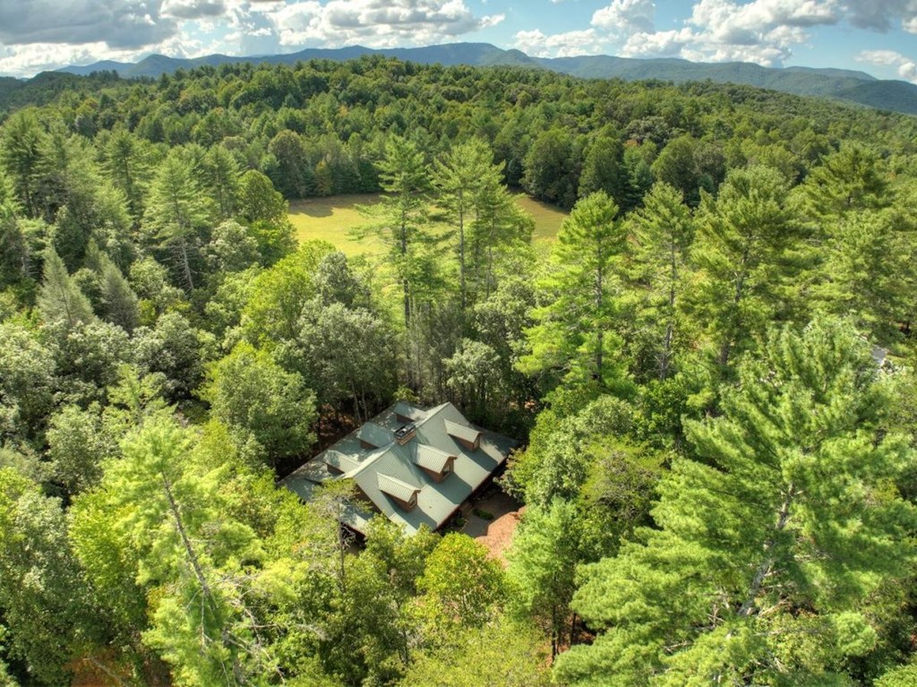 390 Twin Creeks Road