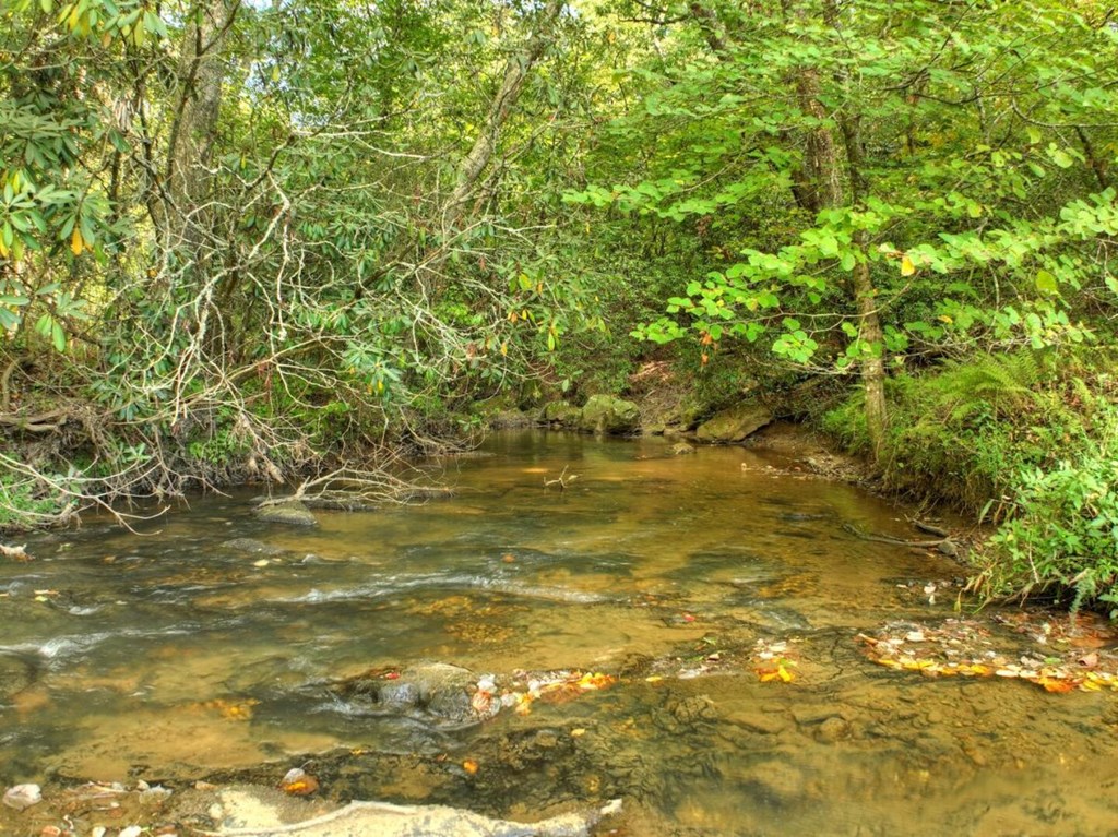 390 Twin Creeks Road