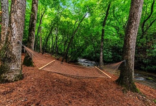 390 Twin Creeks Road