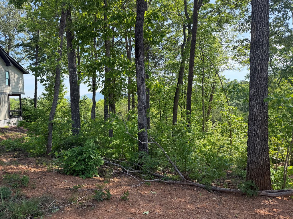 LOT 31 Summit View Lane