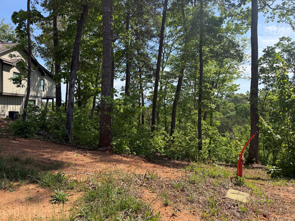 LOT 31 Summit View Lane