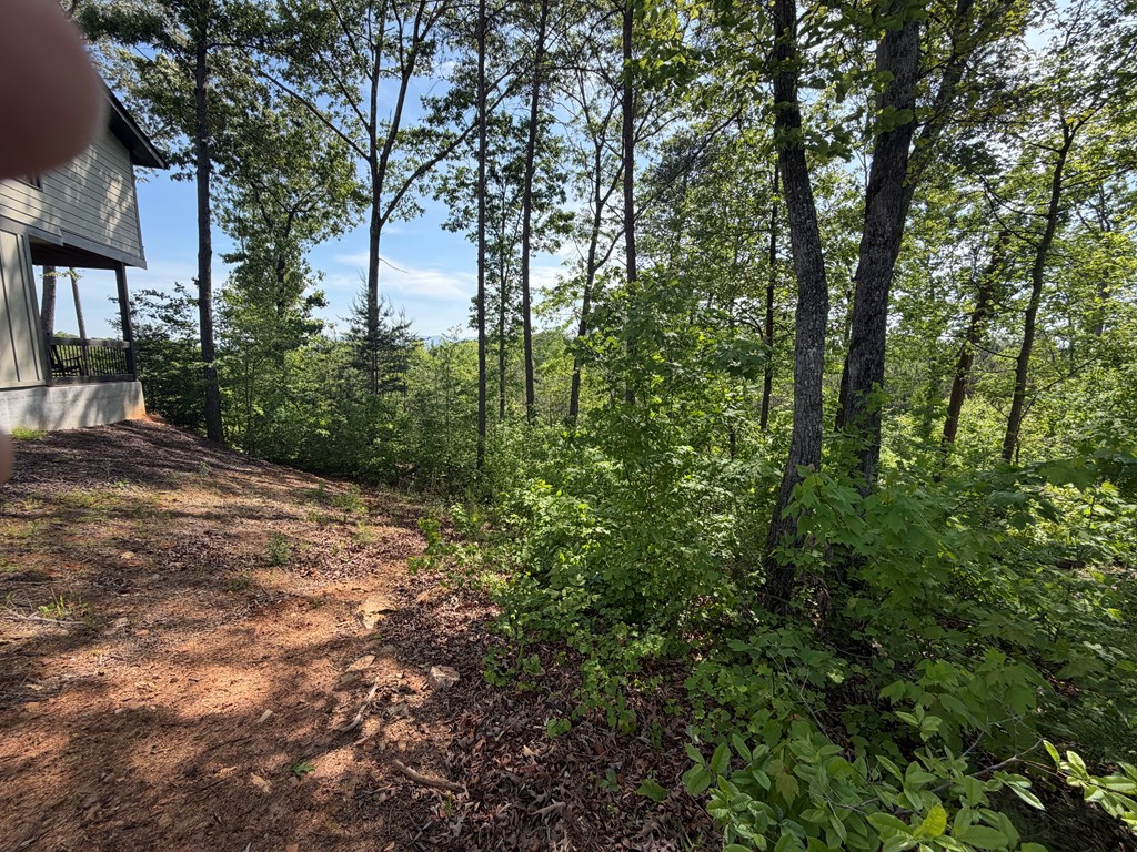 LOT 31 Summit View Lane