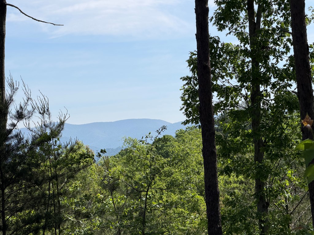 LOT 31 Summit View Lane