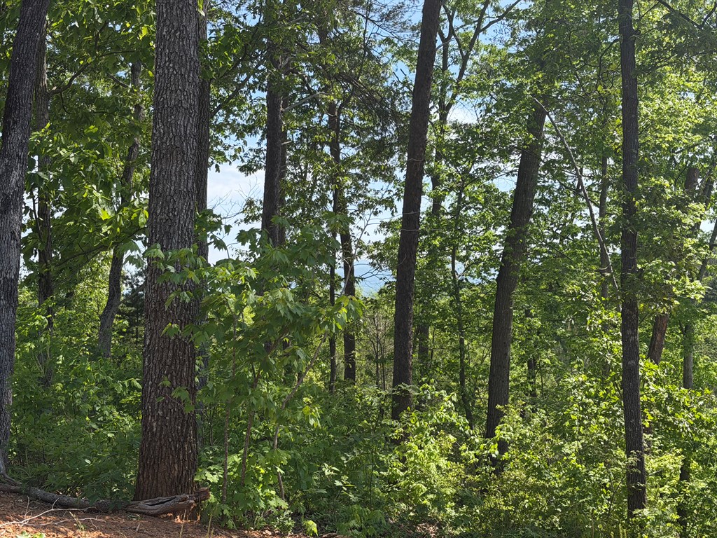 LOT 31 Summit View Lane