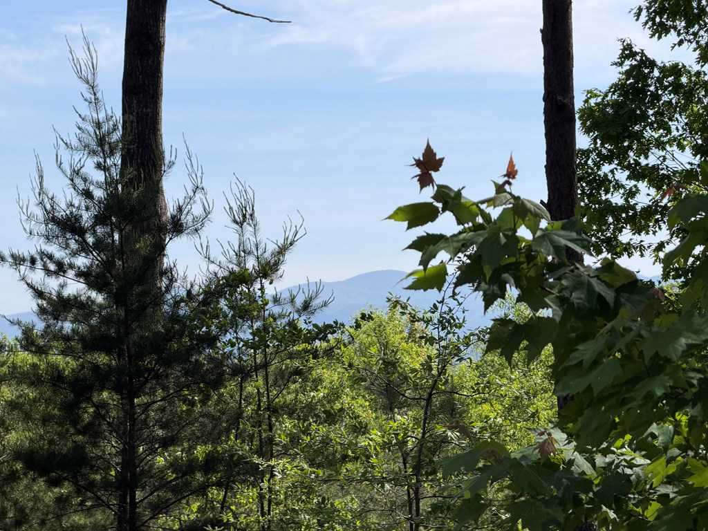LOT 31 Summit View Lane