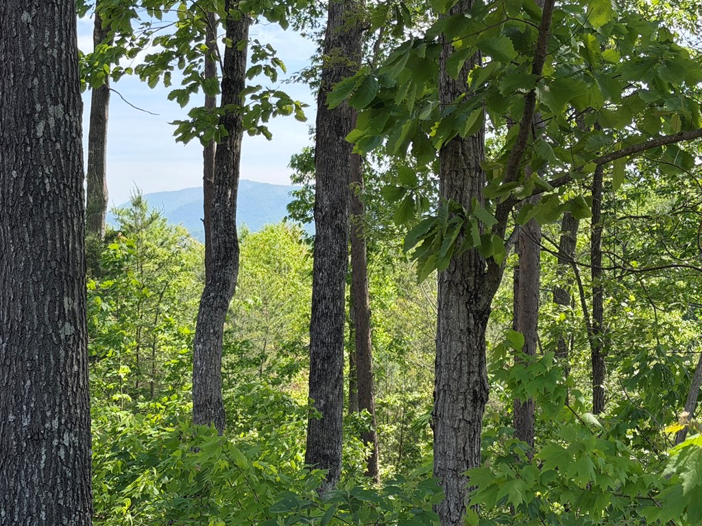 LOT 31 Summit View Lane