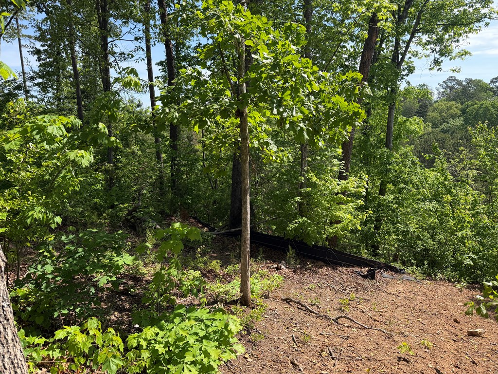 LOT 31 Summit View Lane