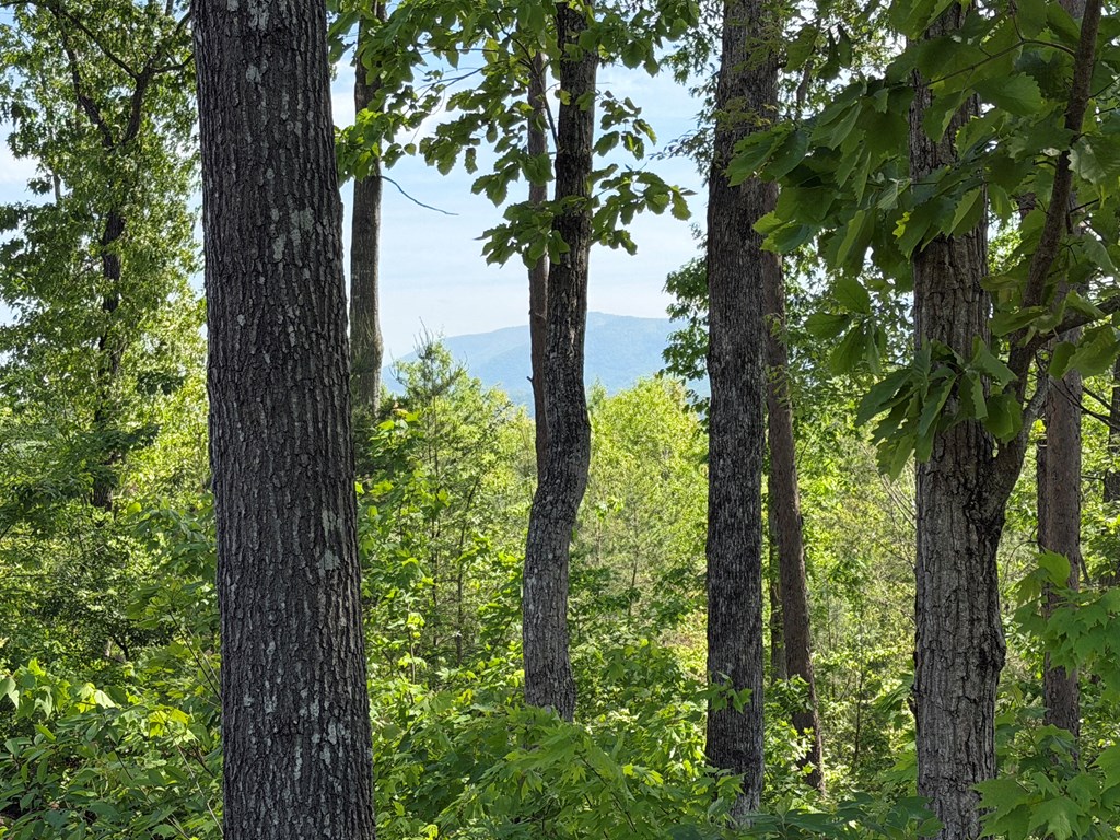 LOT 31 Summit View Lane