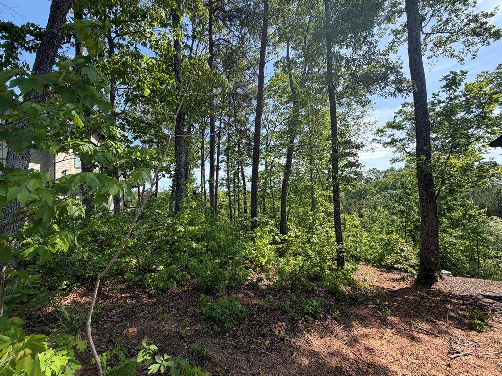 LOT 31 Summit View Lane