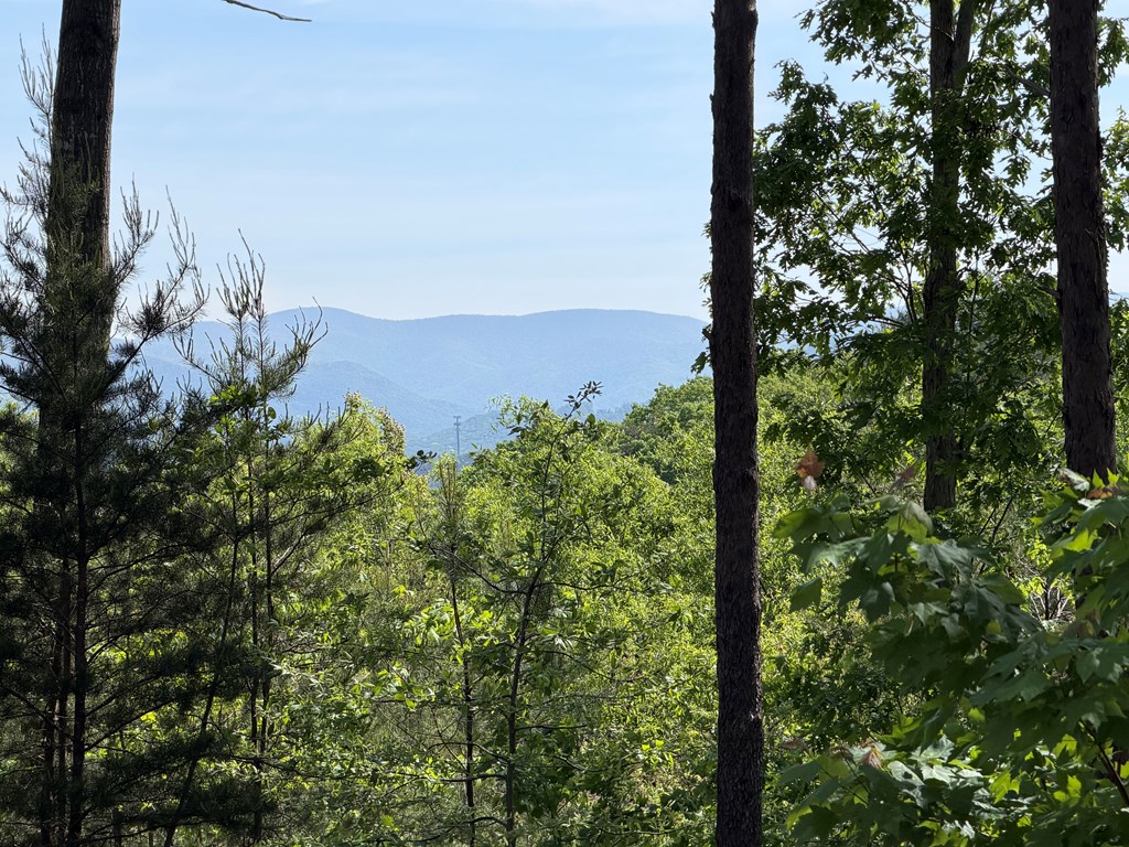 LOT 31 Summit View Lane