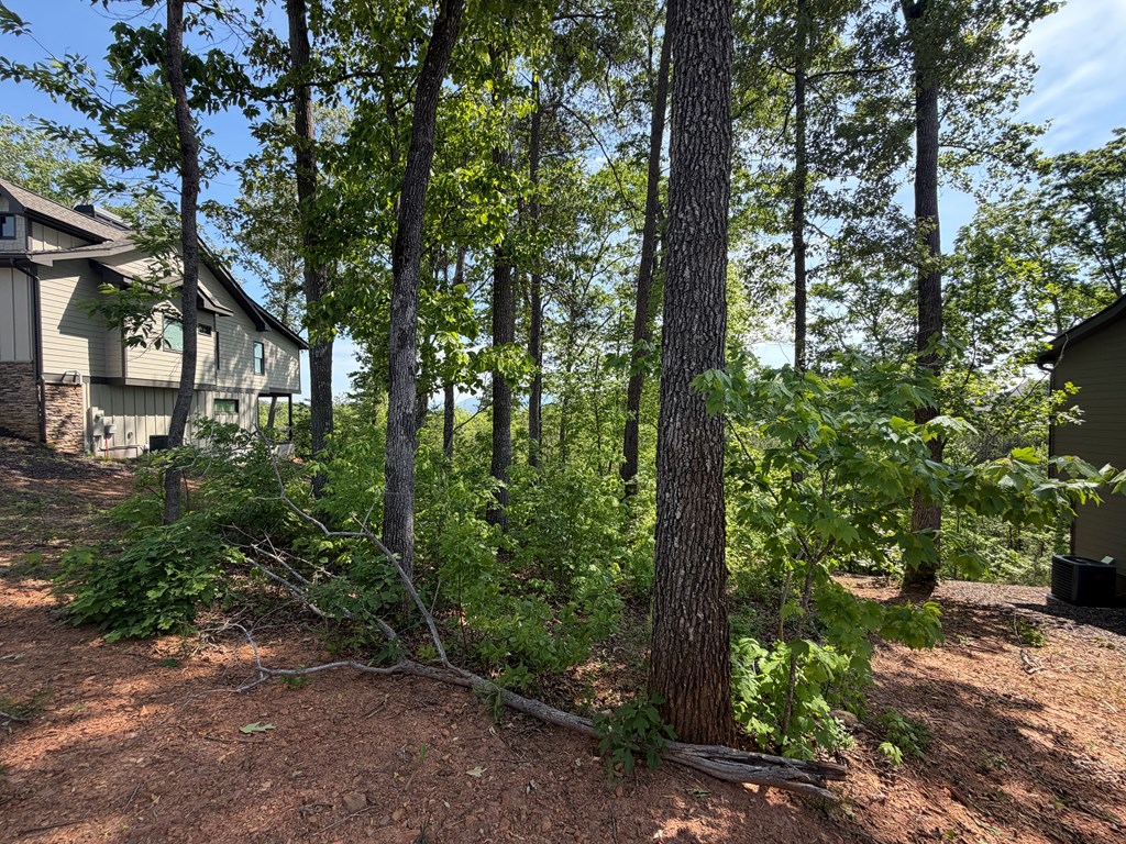 LOT 31 Summit View Lane