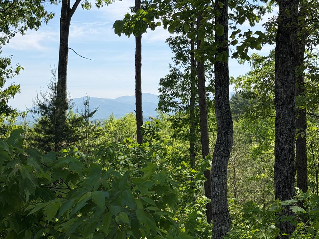 LOT 31 Summit View Lane