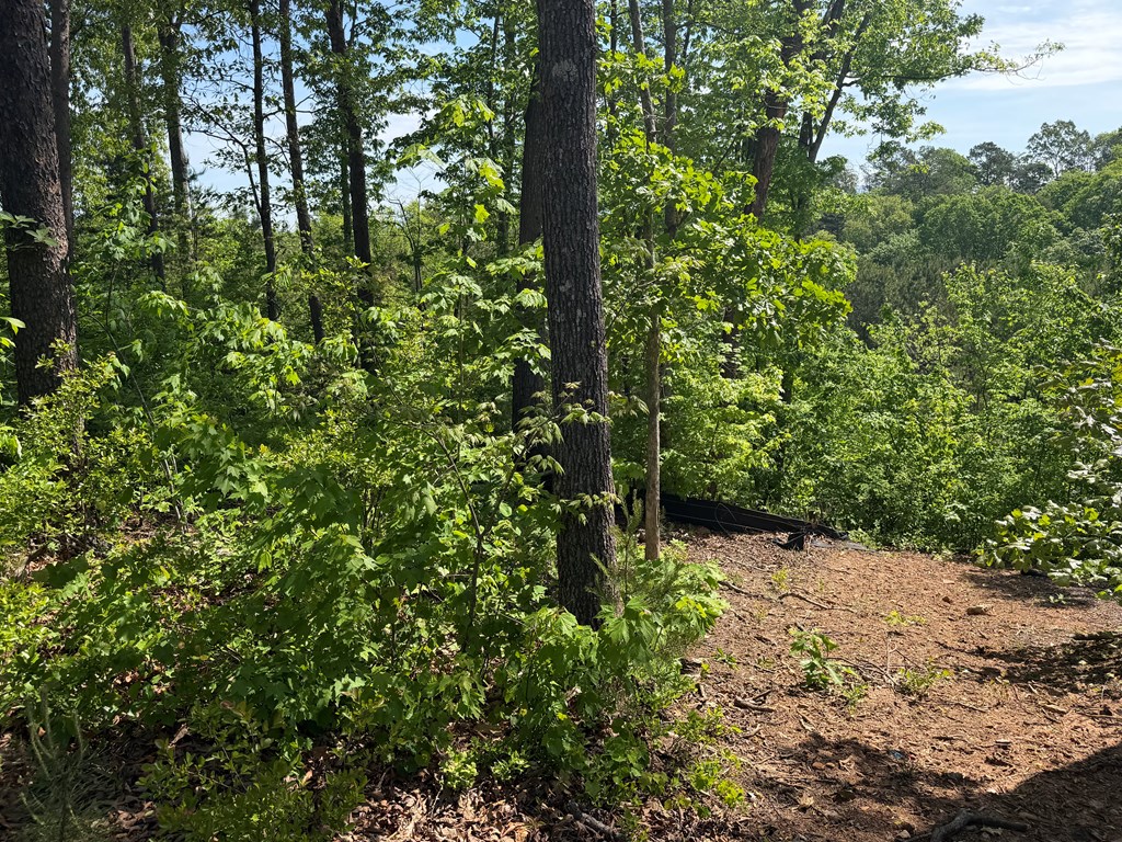 LOT 31 Summit View Lane