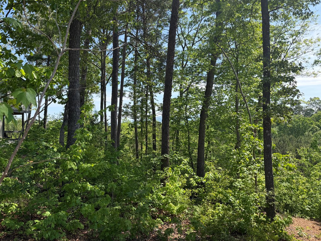 LOT 31 Summit View Lane
