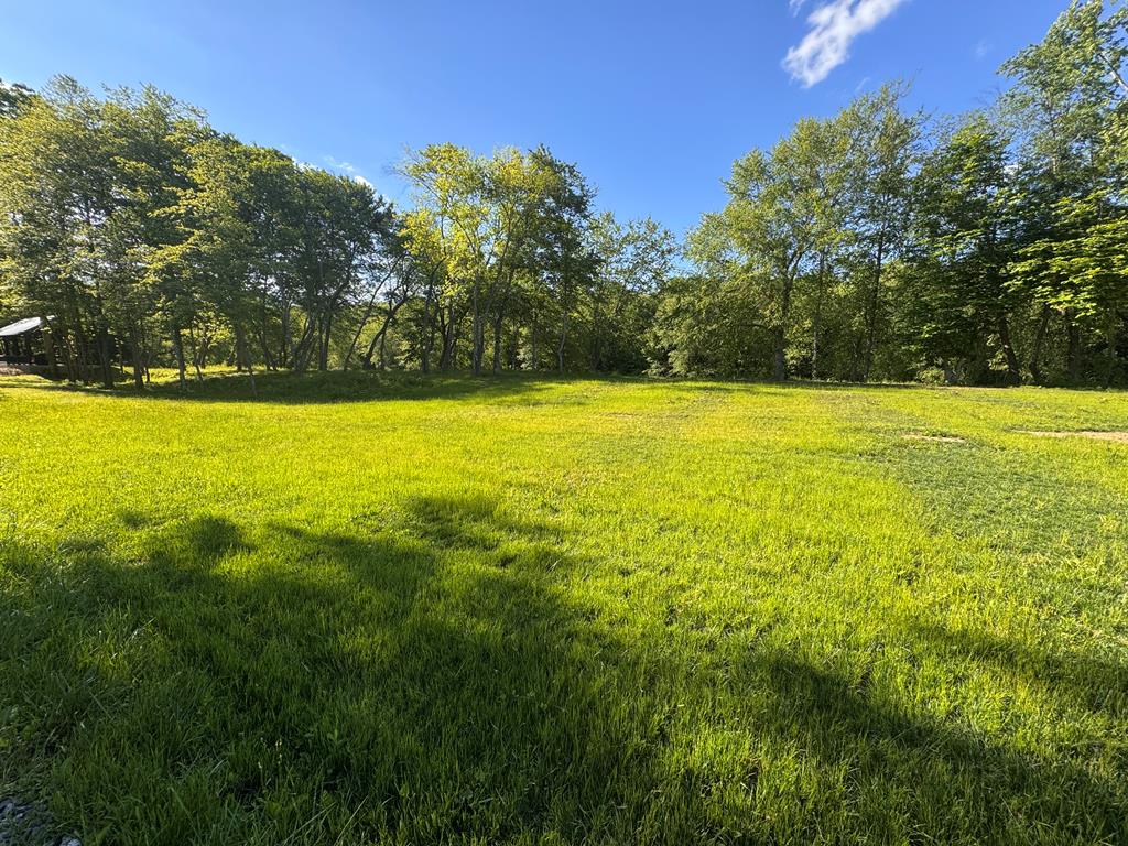 1733 Grassy Creek Road