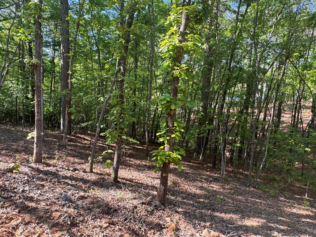 Lot 2 Grassy Creek Road