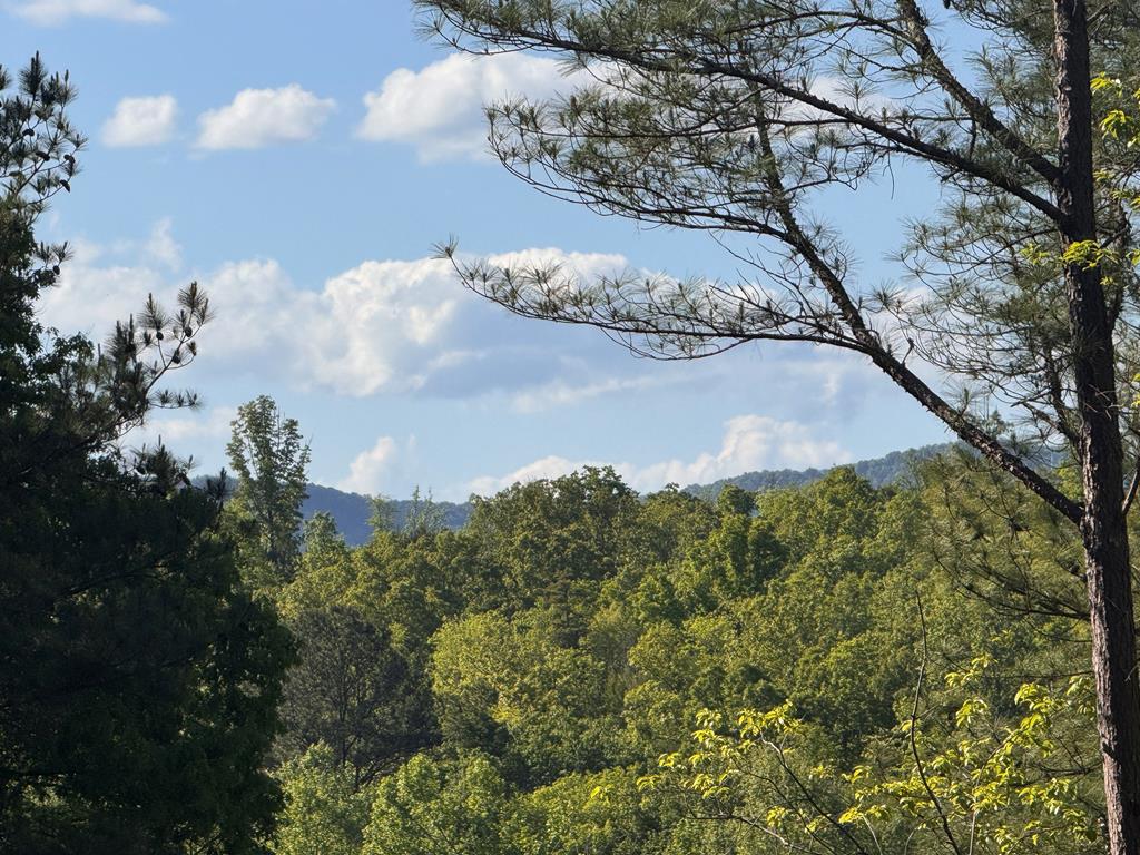 Lot 2 Grassy Creek Road