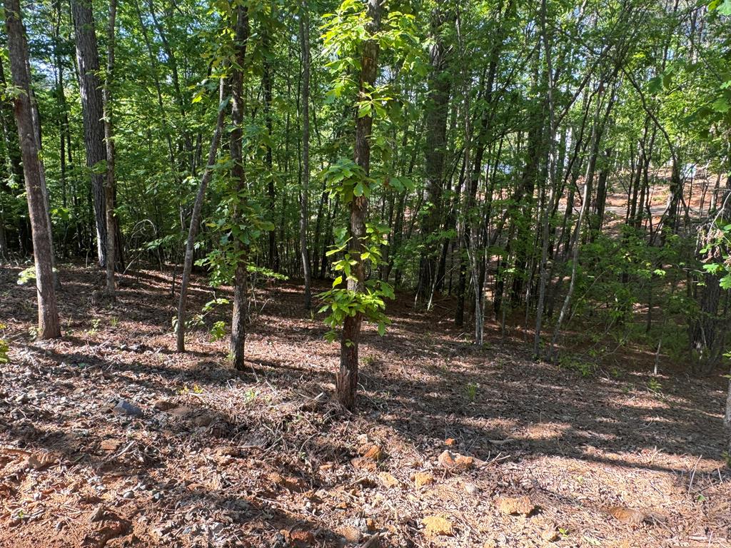 Lot 3 Grassy Creek Road