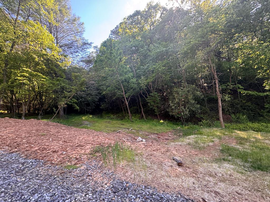 Lot 3 Grassy Creek Road