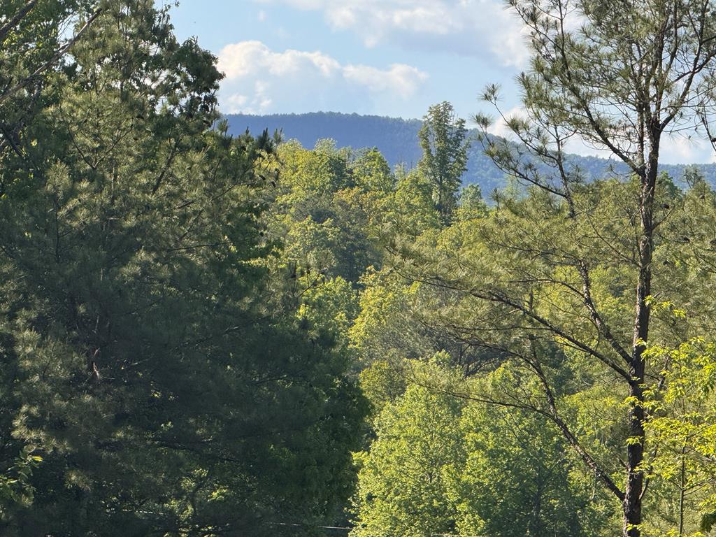 Lot 3 Grassy Creek Road