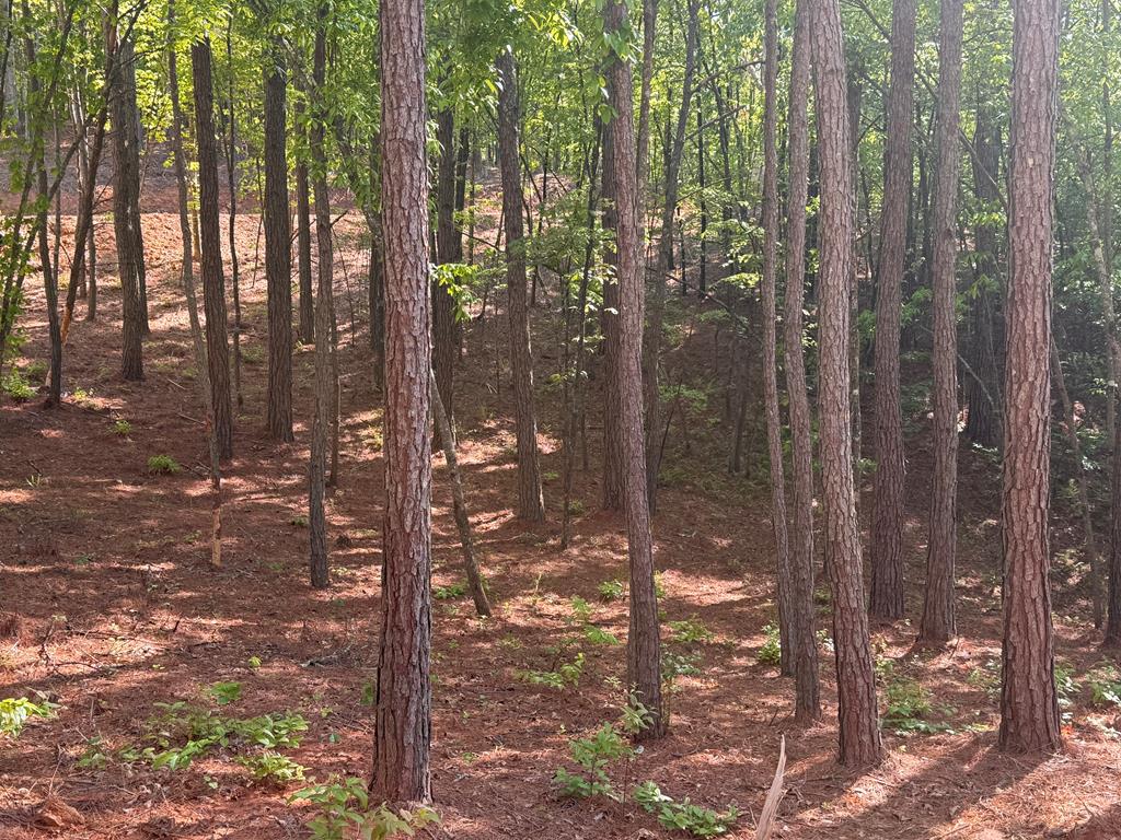 Lot 4 Grassy Creek Road