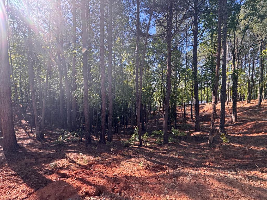 Lot 4 Grassy Creek Road