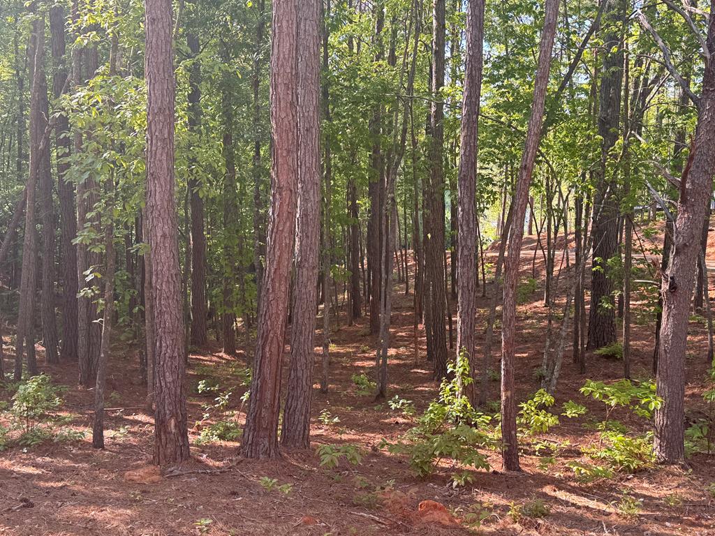 Lot 4 Grassy Creek Road