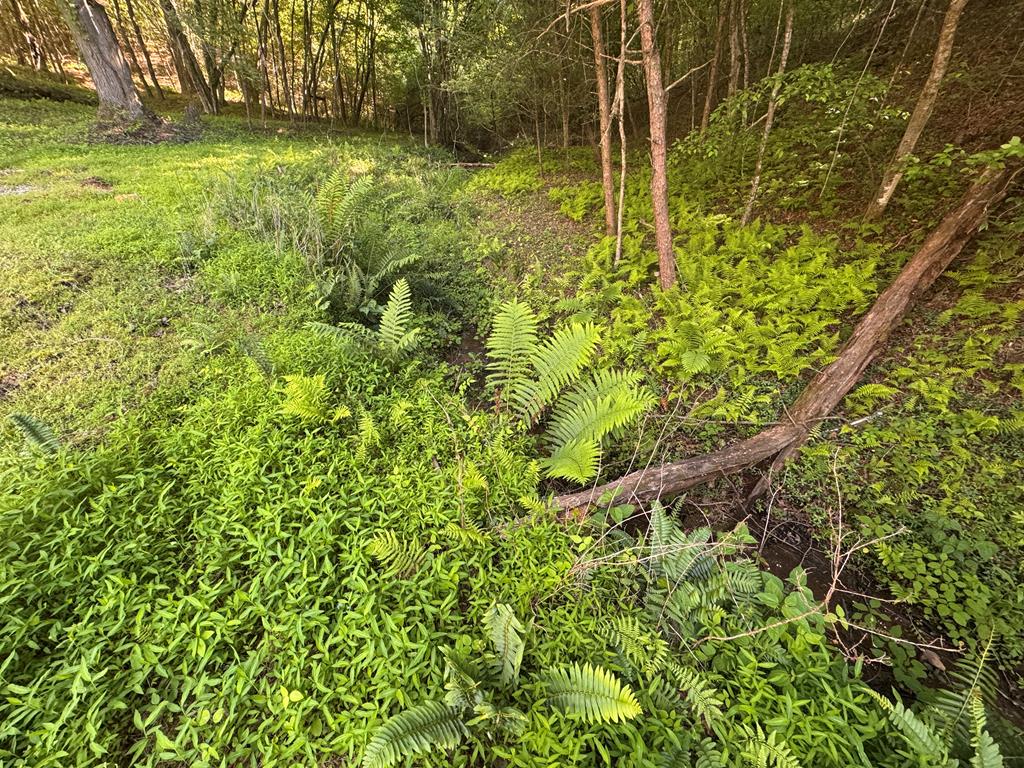 Lot 4 Grassy Creek Road