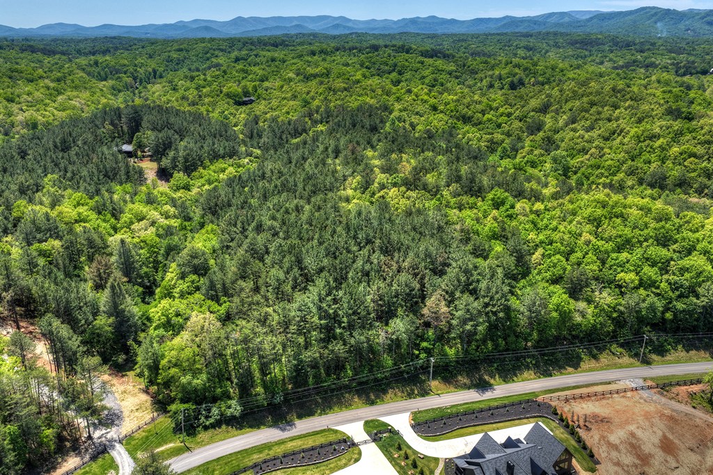 Lot 4 Grassy Creek Road