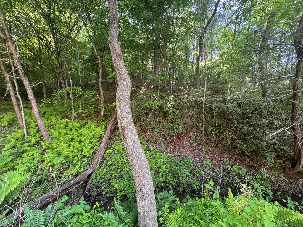 Lot 5 Grassy Creek Road