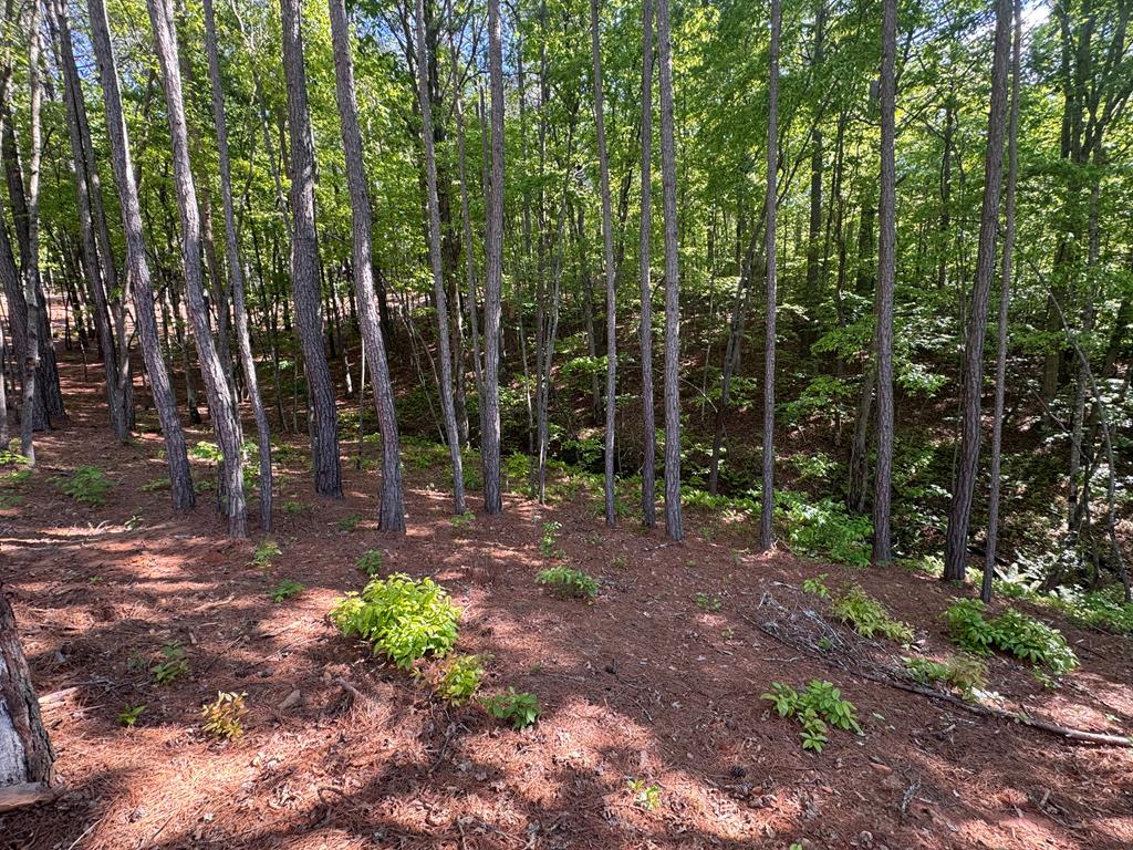 Lot 5 Grassy Creek Road
